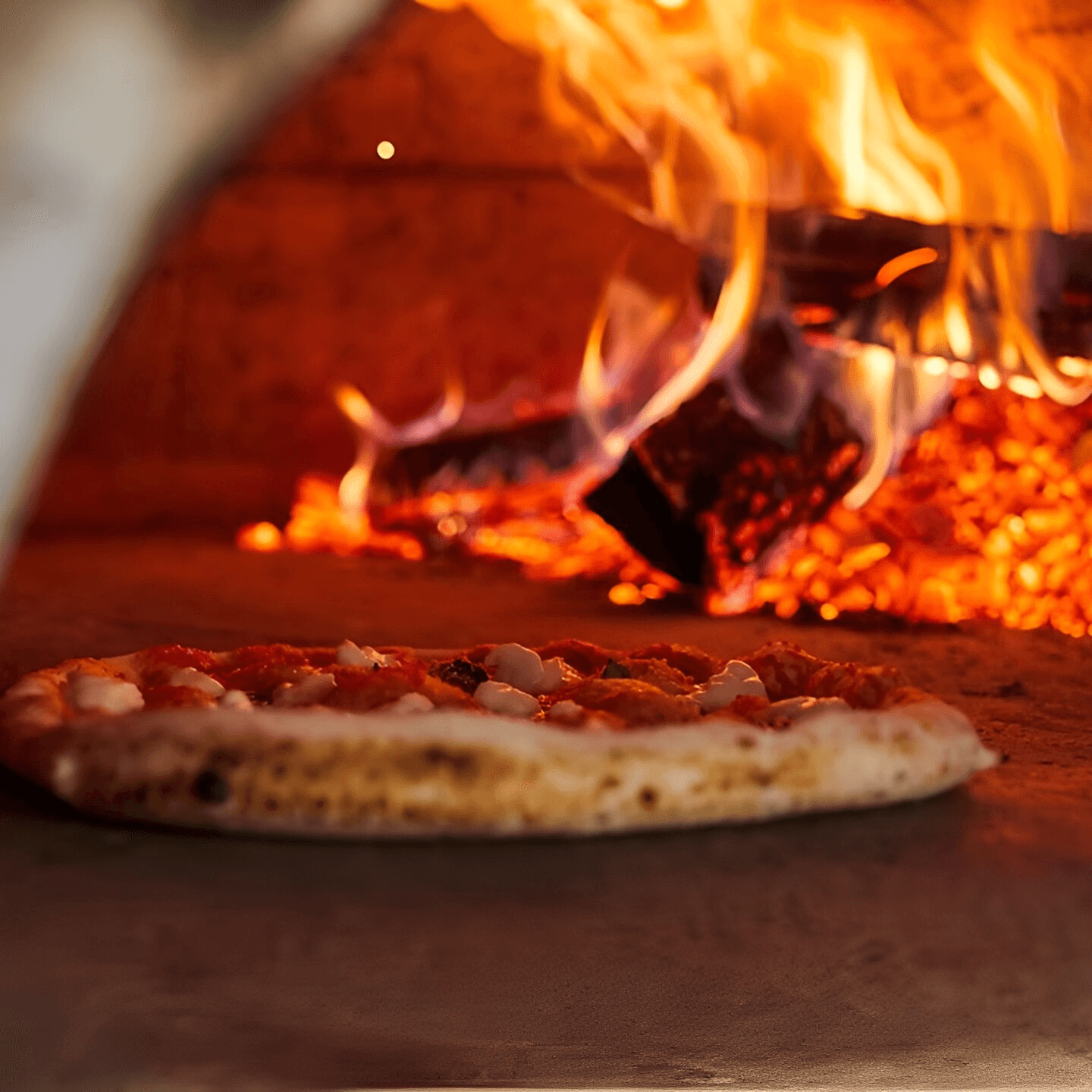 Internationally Certified Authentic 