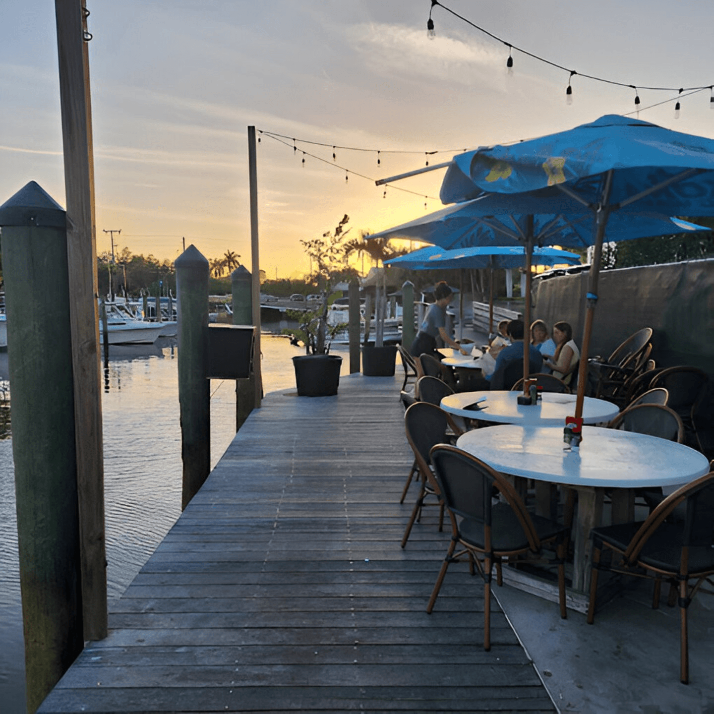 Welcome to Mangia Clam Bar