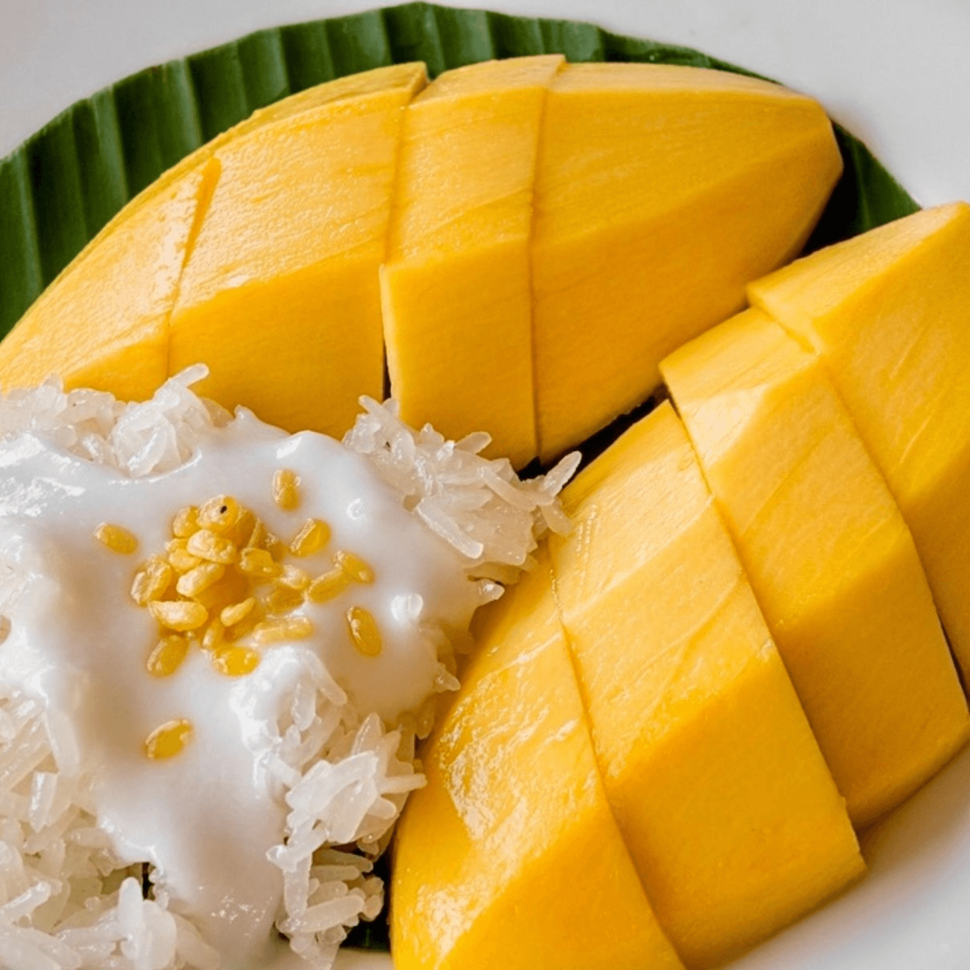 ASIANO Thai & Sushi Bar gallery image #9