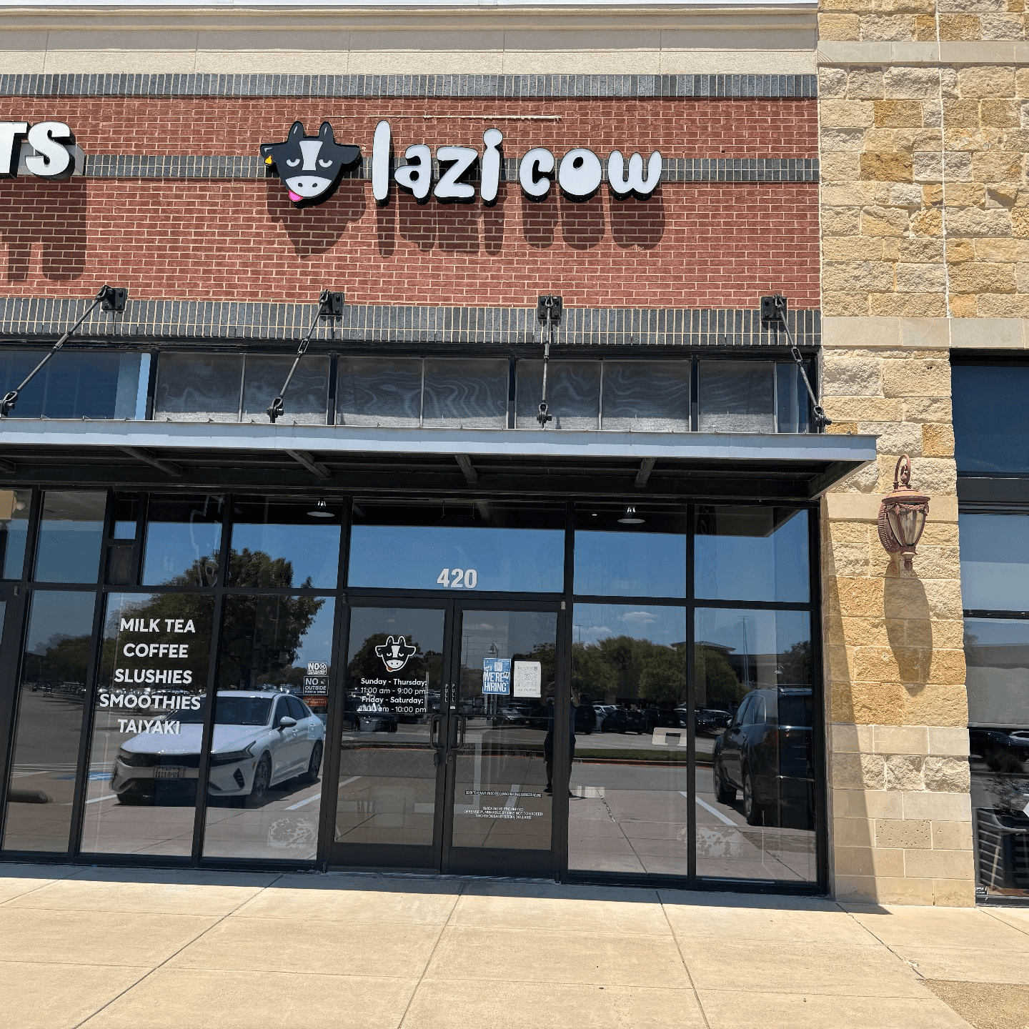 Lazi Cow - Colleyville