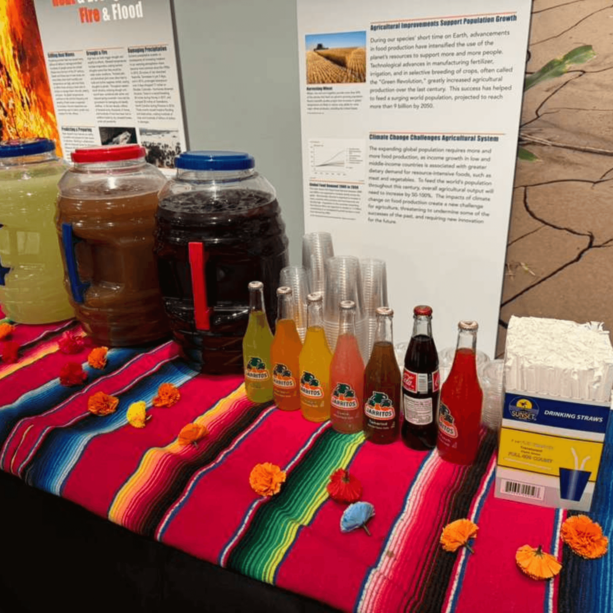 José's Torta Mexicana gallery image #4