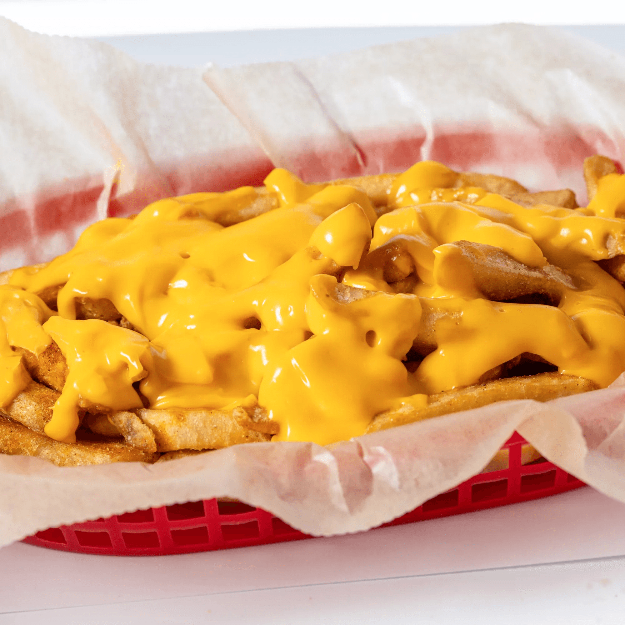 Hot Birds gallery image #5