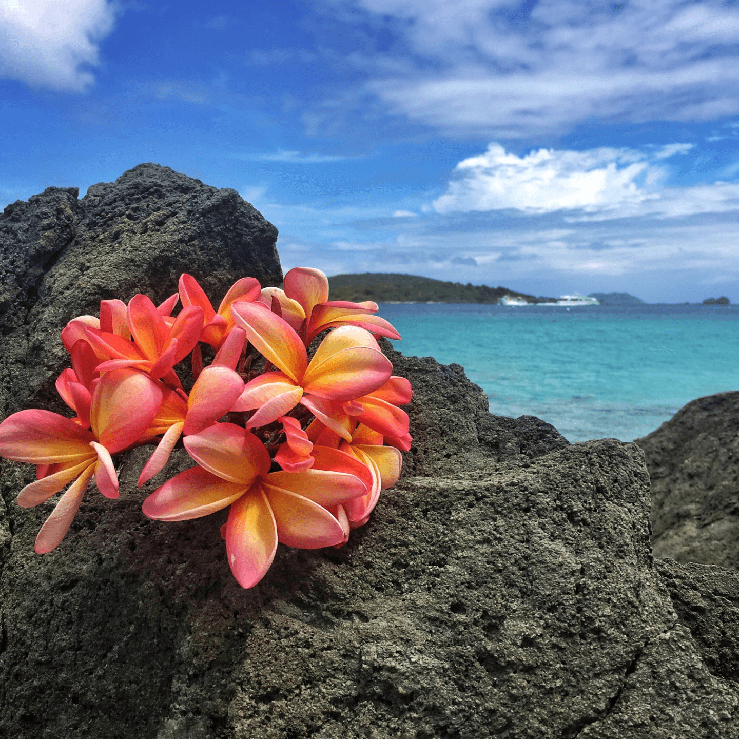 Flavors Straight from the Islands