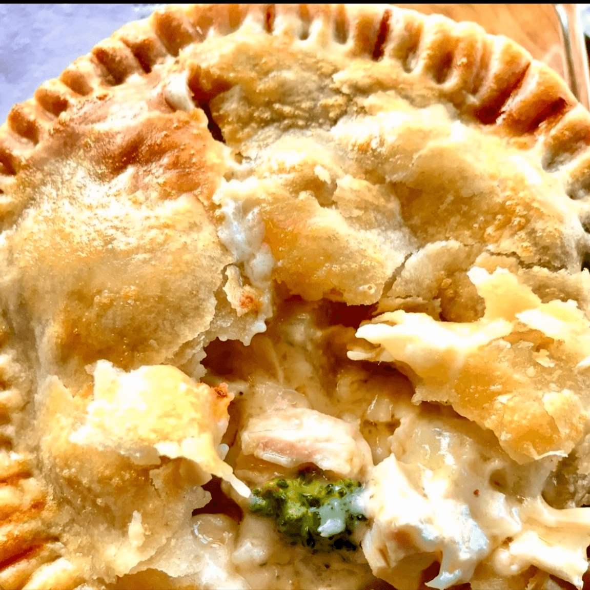 Chicken Alfredo Pot Pie - 5".