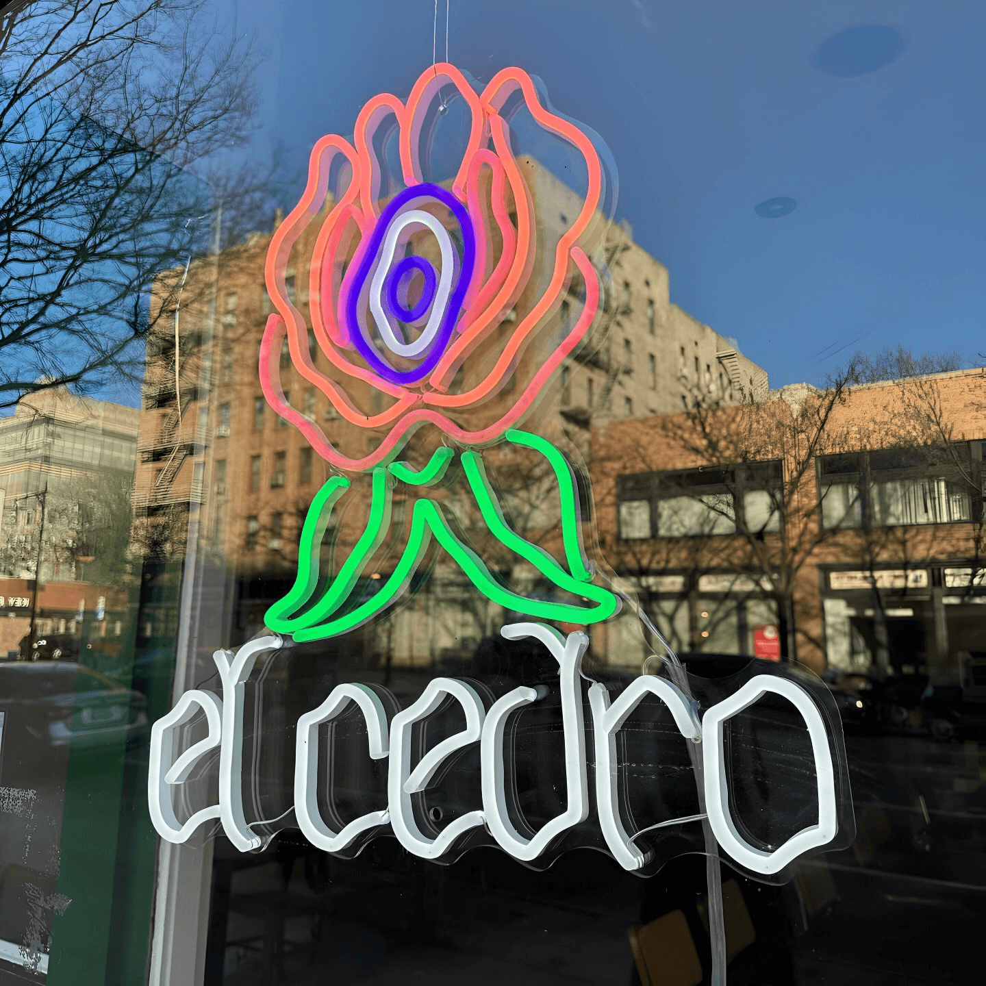 Why You Should Visit