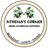 Athena's Corner
