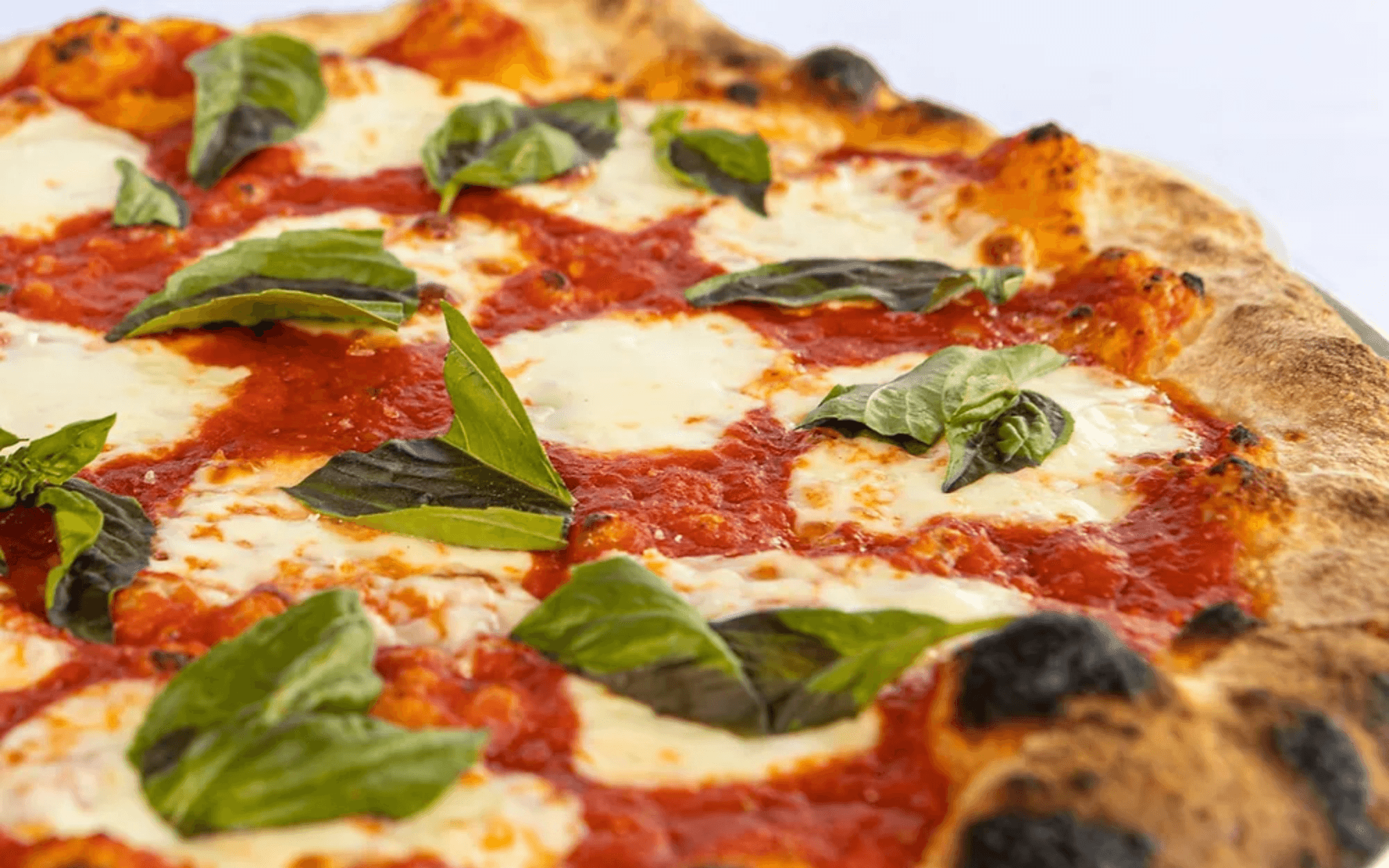 Get The Slice App - Order from Your Favorite Local Pizzeria on Android & iOS