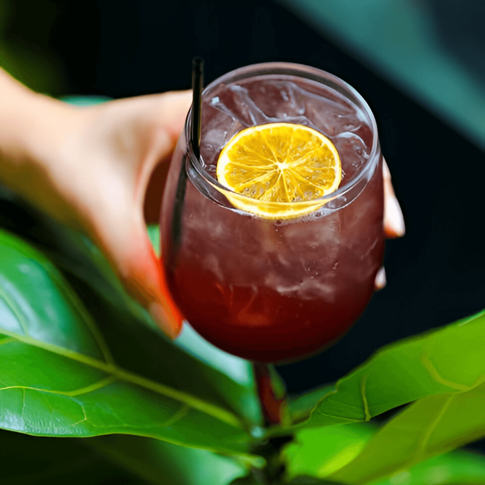 Dar525 gallery image #1