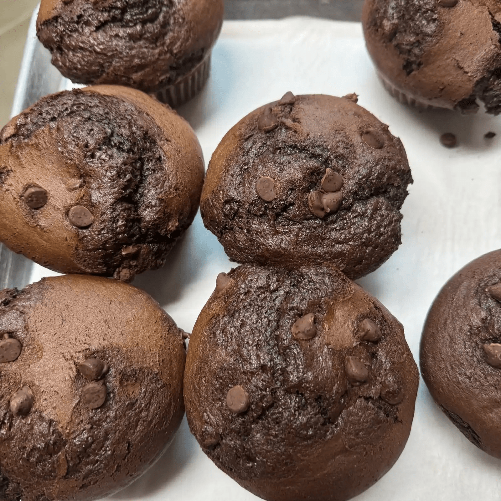Chocolate Chip Muffin