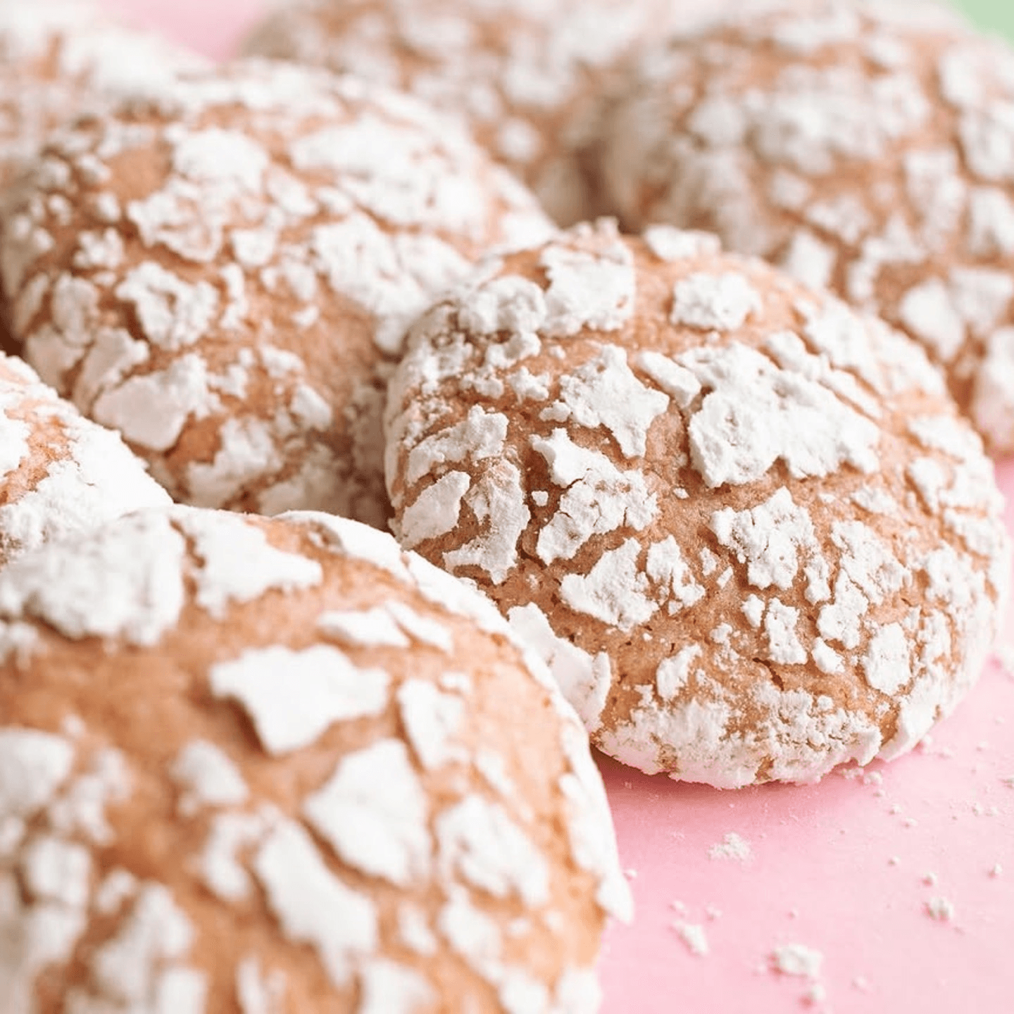 Freshly Baked, Daily 