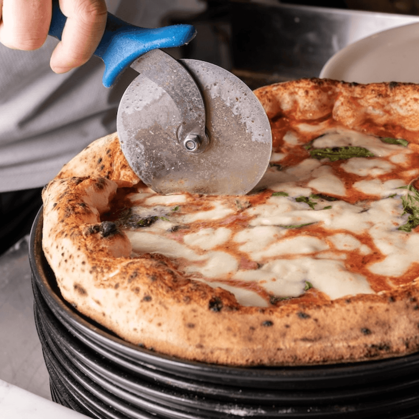 Need Catering for Your Next Event? 🍽️