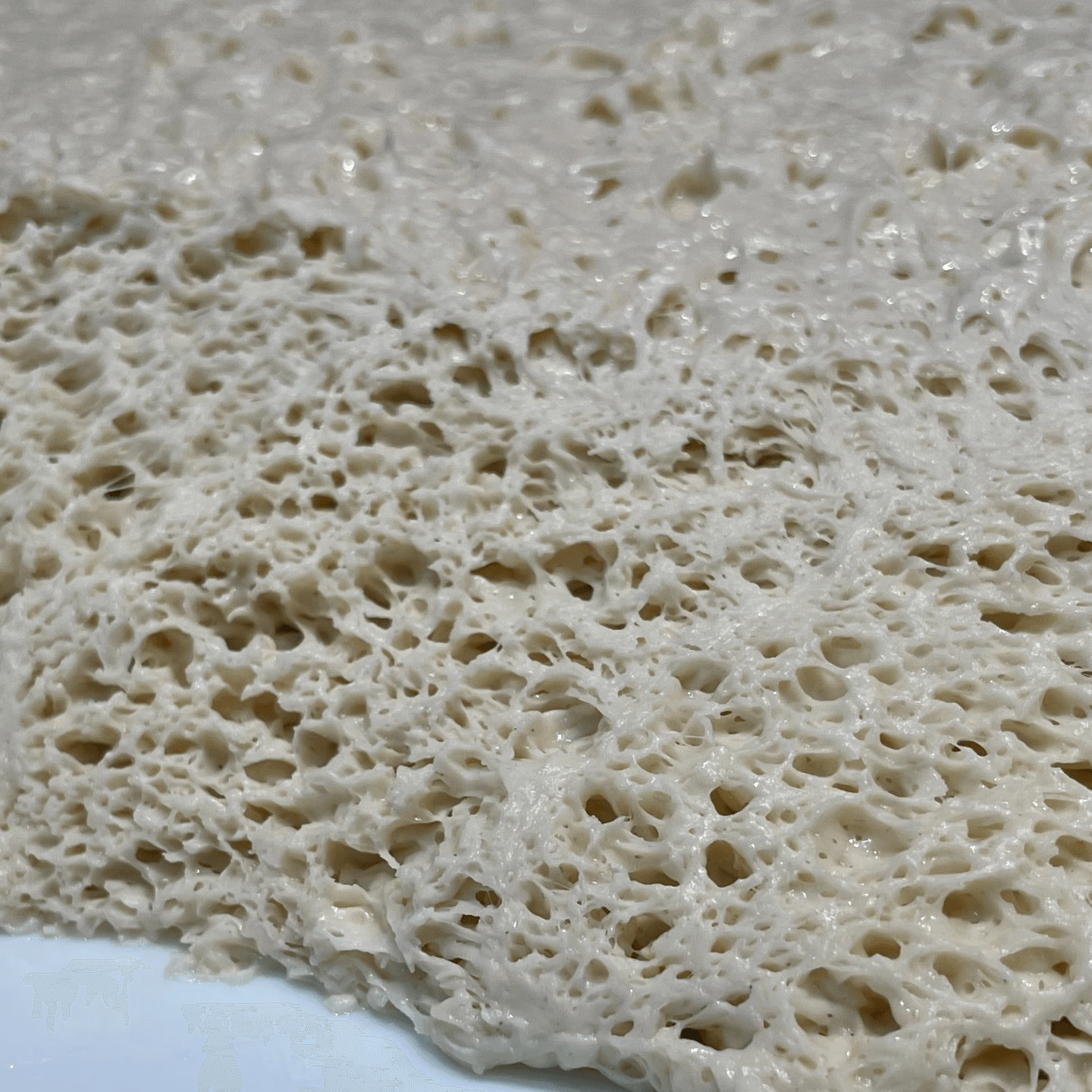 What is Gluten?