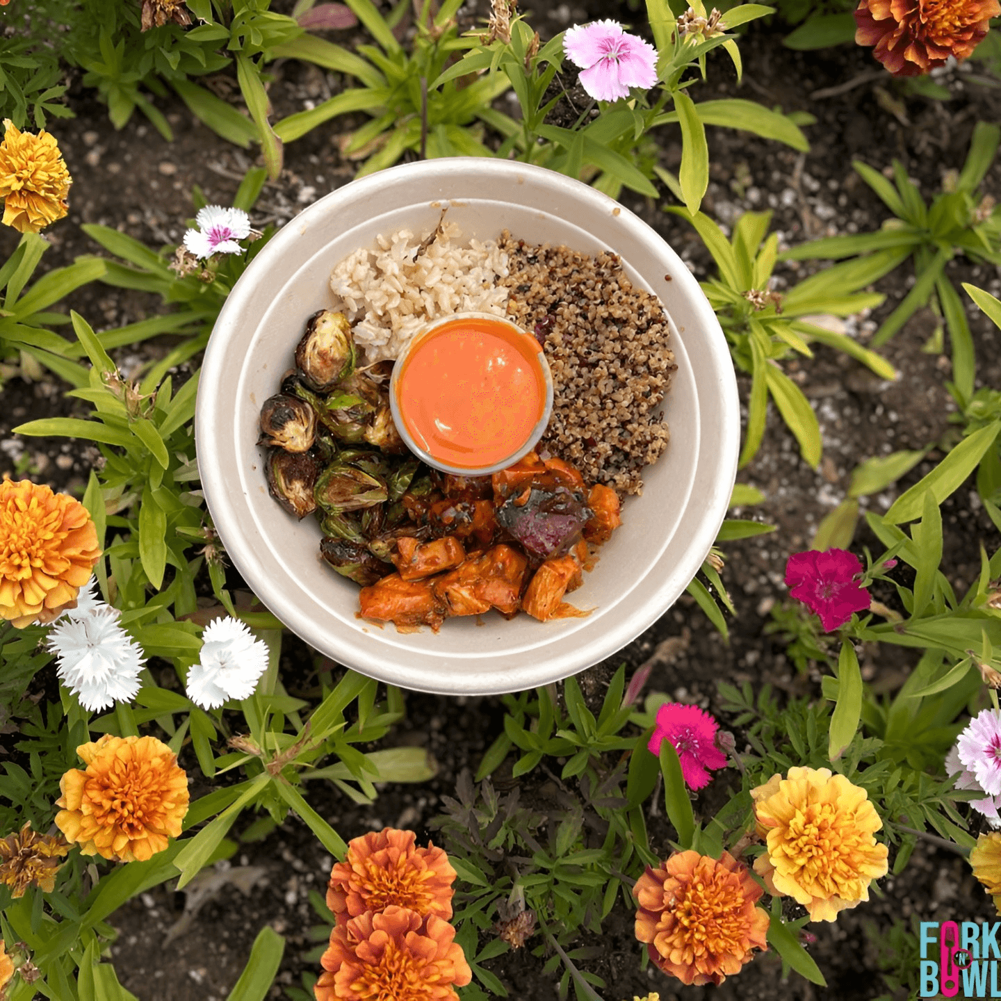 Fresh, Gluten-Free Every Day