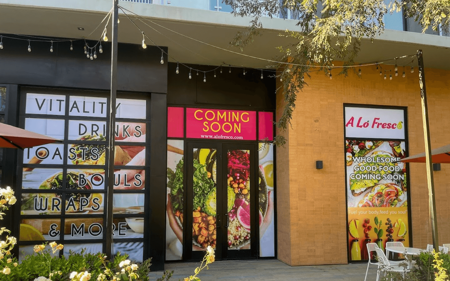 Our Story: Where Healthy Meets Global Flavor