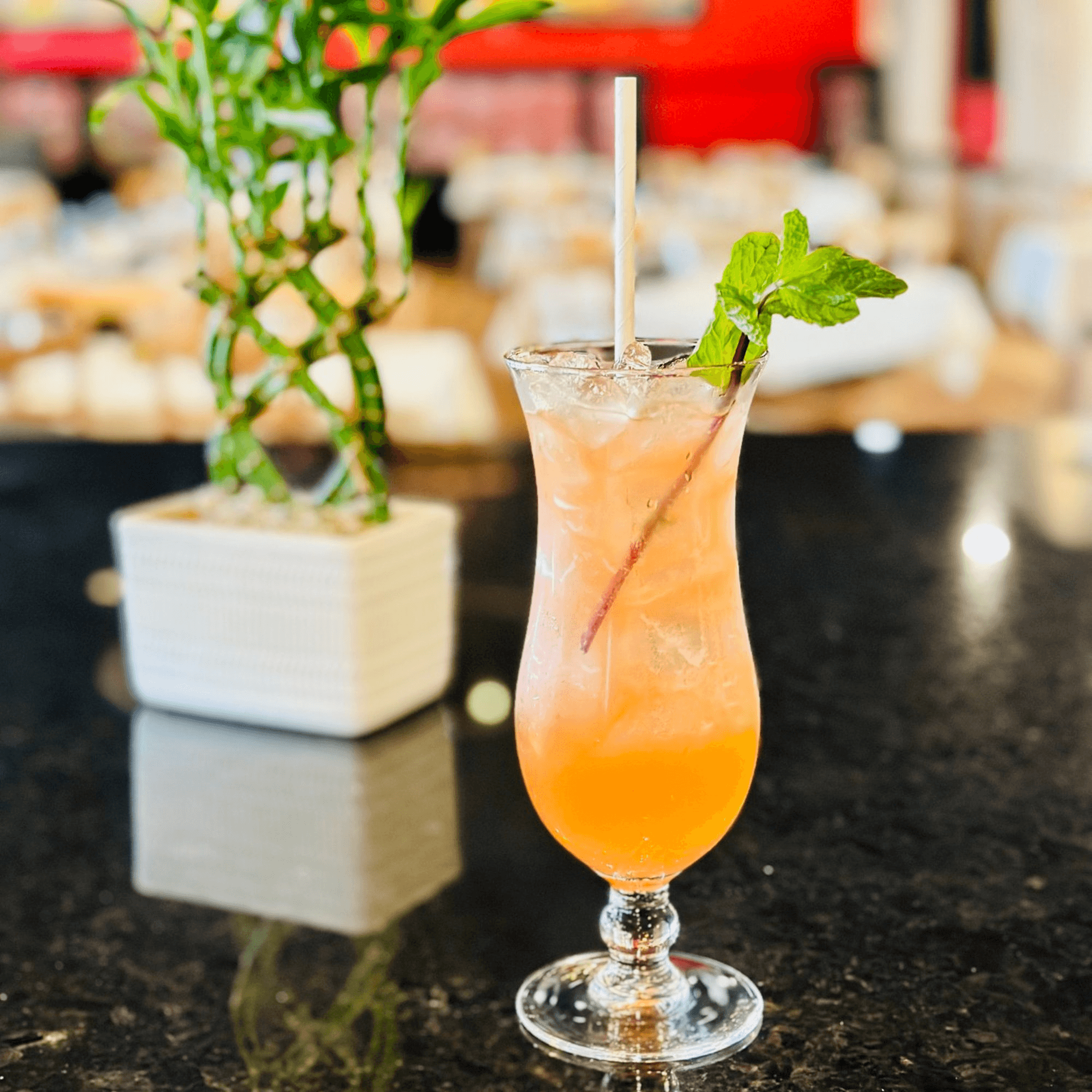 Bazil Indian Cuisine Best indian food in Raleigh