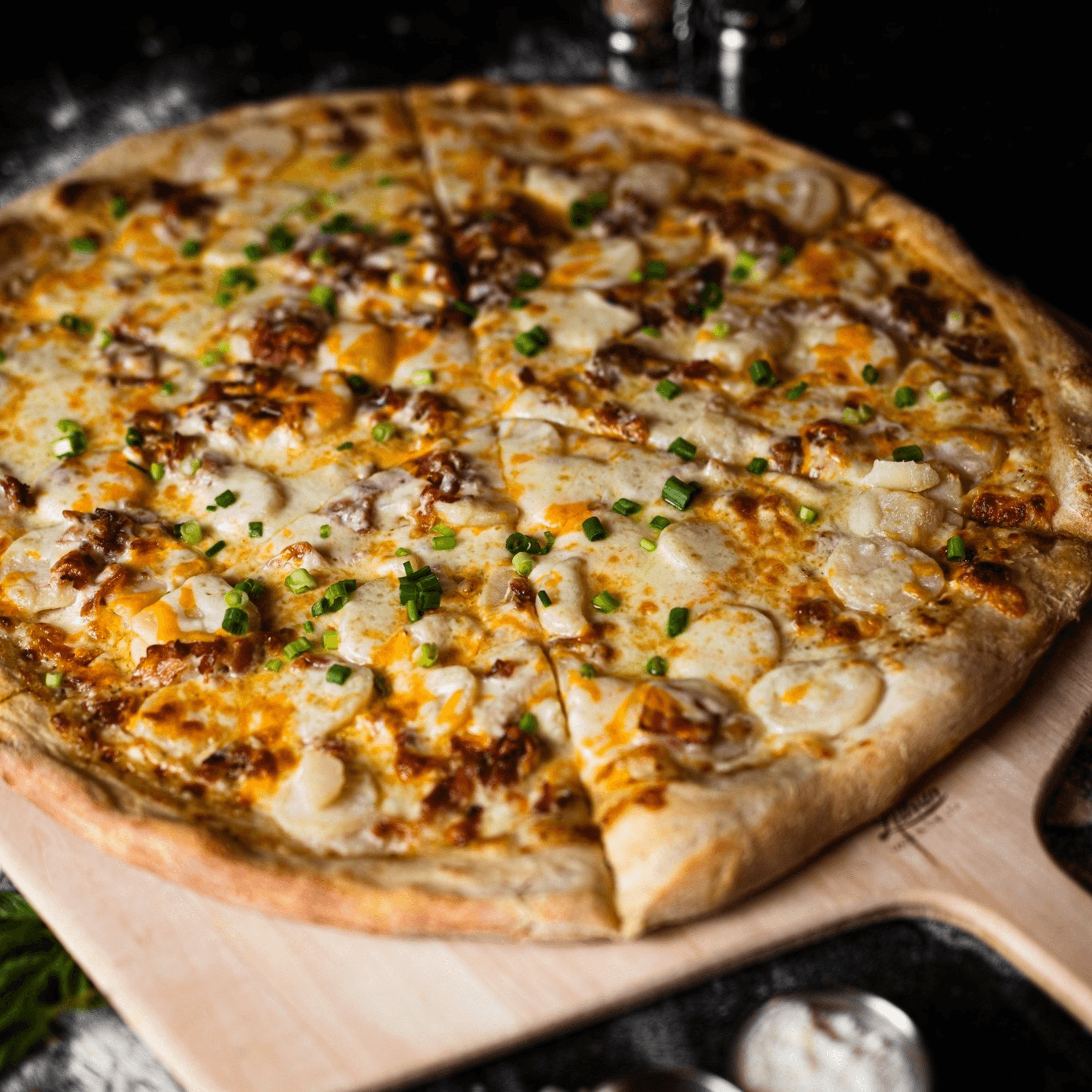 SliceWorks CT gallery image #1