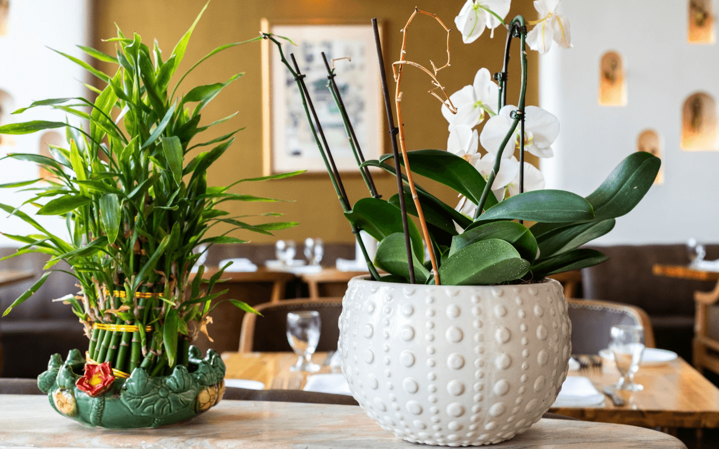 Bombay Palace Rewards