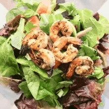 Grilled Shrimp Salad.