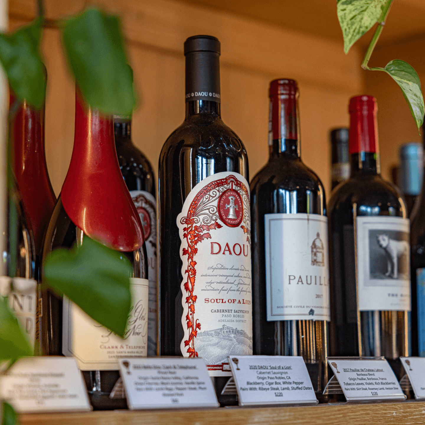 Sustainably Sourced. Expertly Poured. No Pinkies.