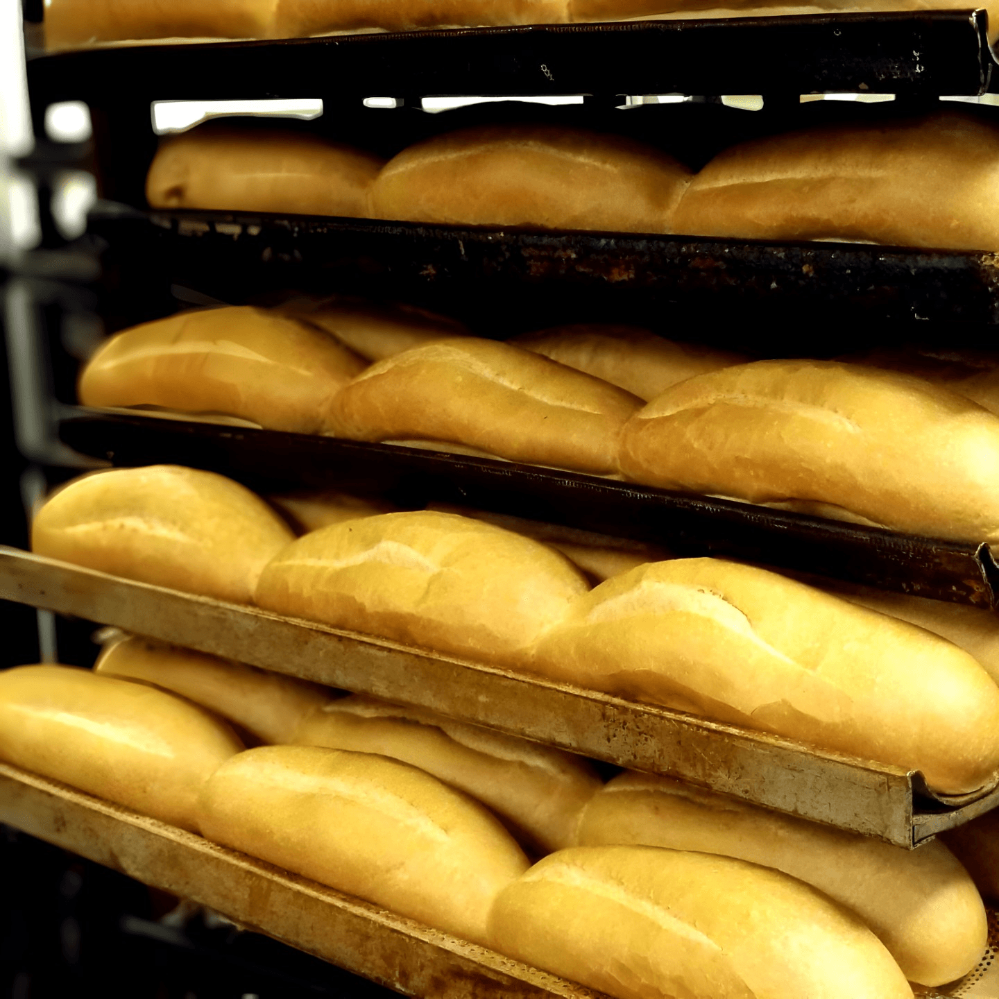Fresh Bread Every Day 
