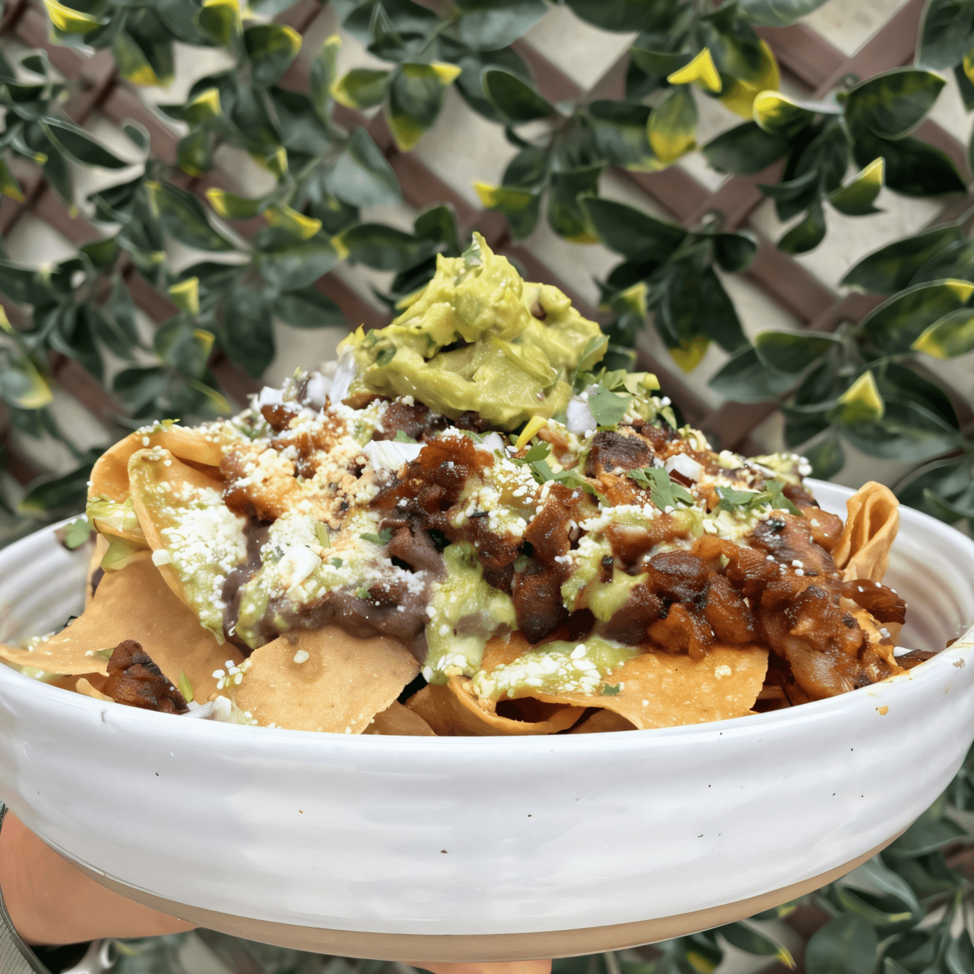 Str8 up Tacos gallery image #1