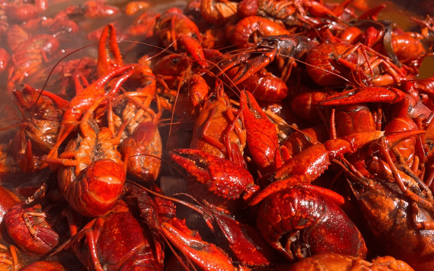 LandShark Seafood & Catfish Best seafood in Oxford, MS