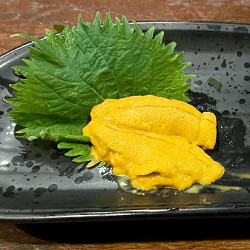 Uni Sashimi　雲丹刺身