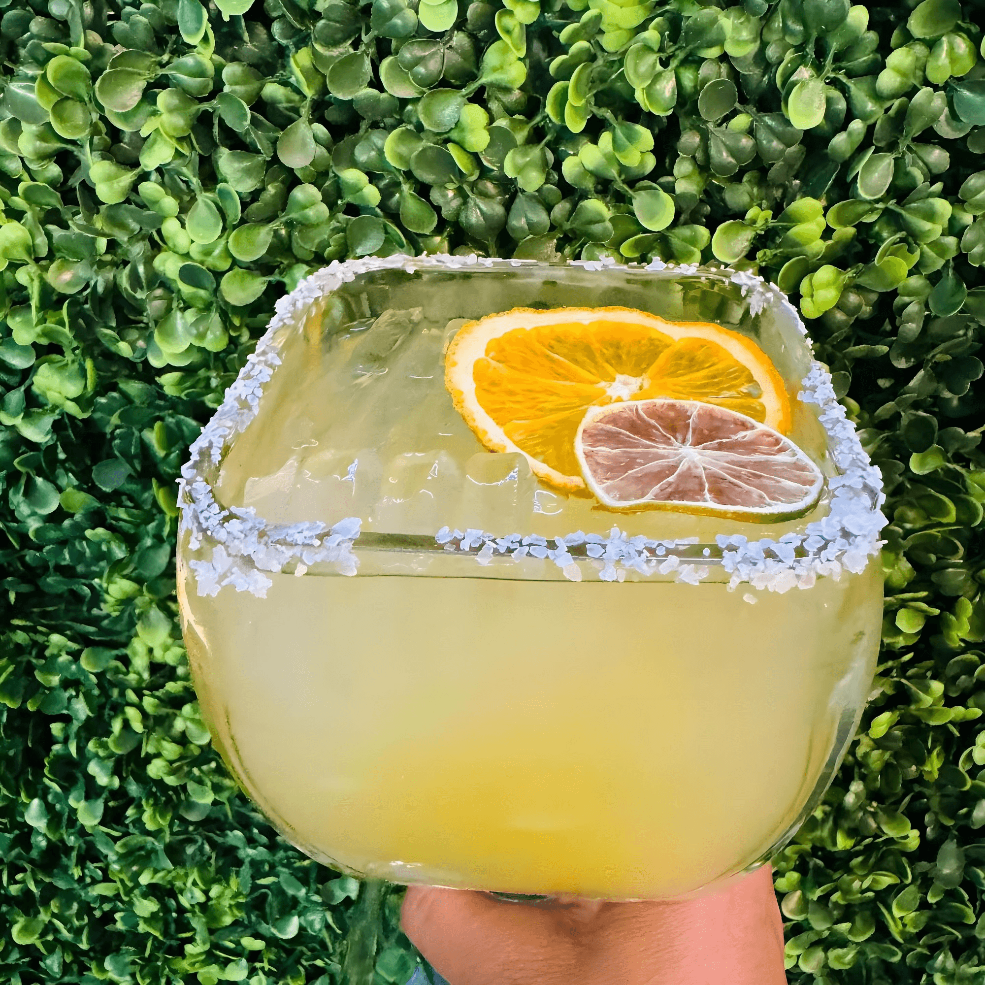 Coco Mexican Restaurant gallery image #6