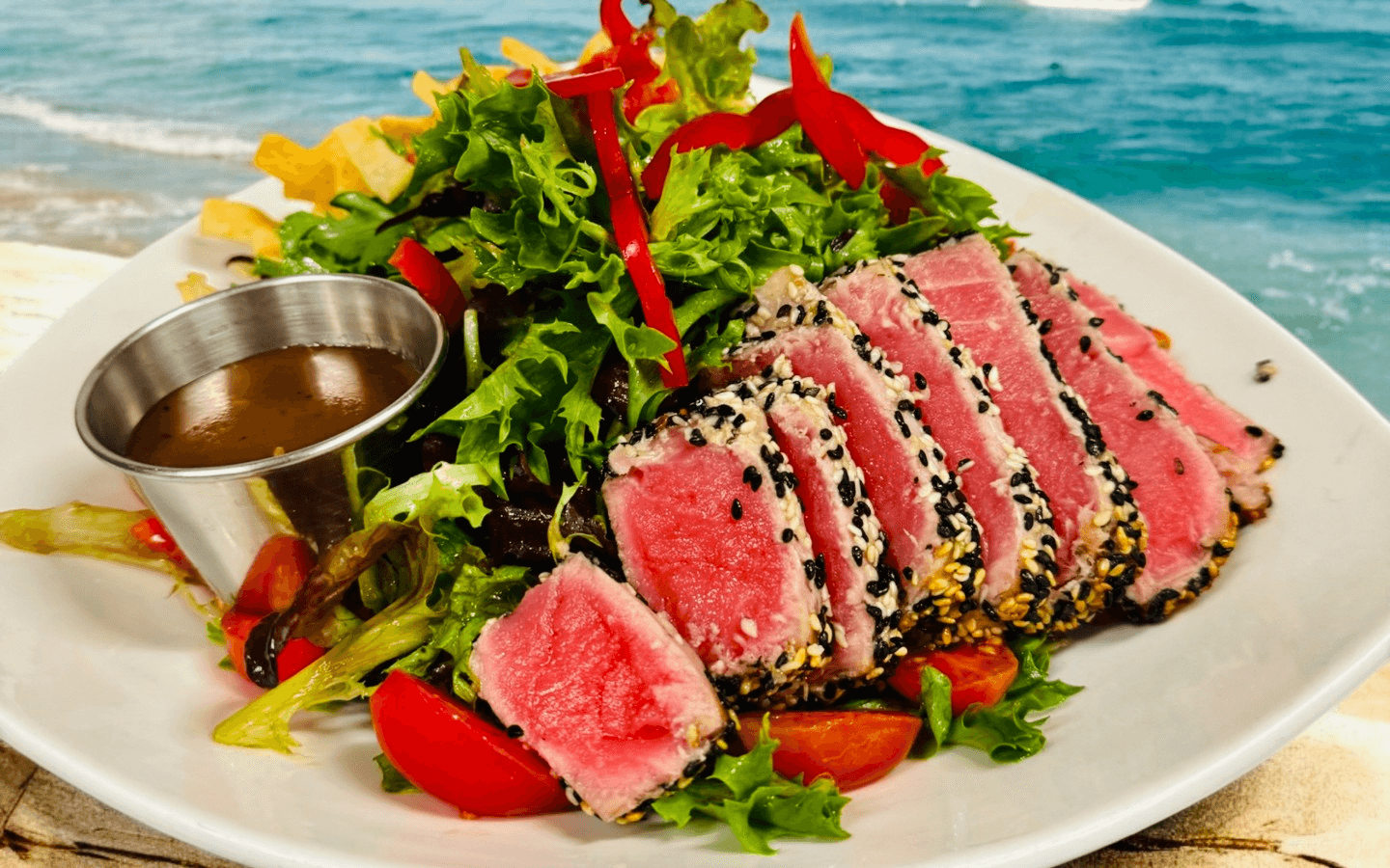 Polo’s Corner Rewards