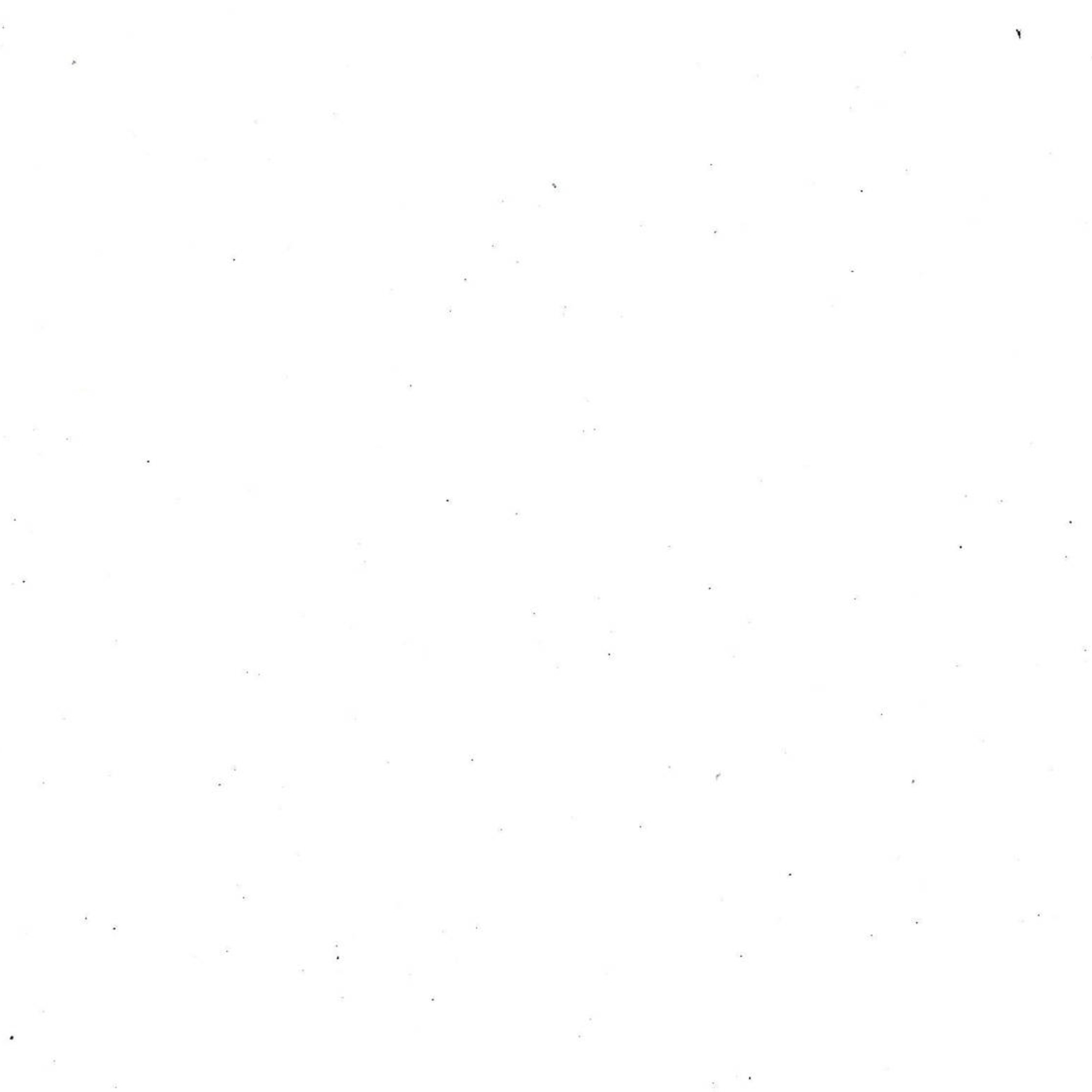 Blue Olive Grill gallery image #3