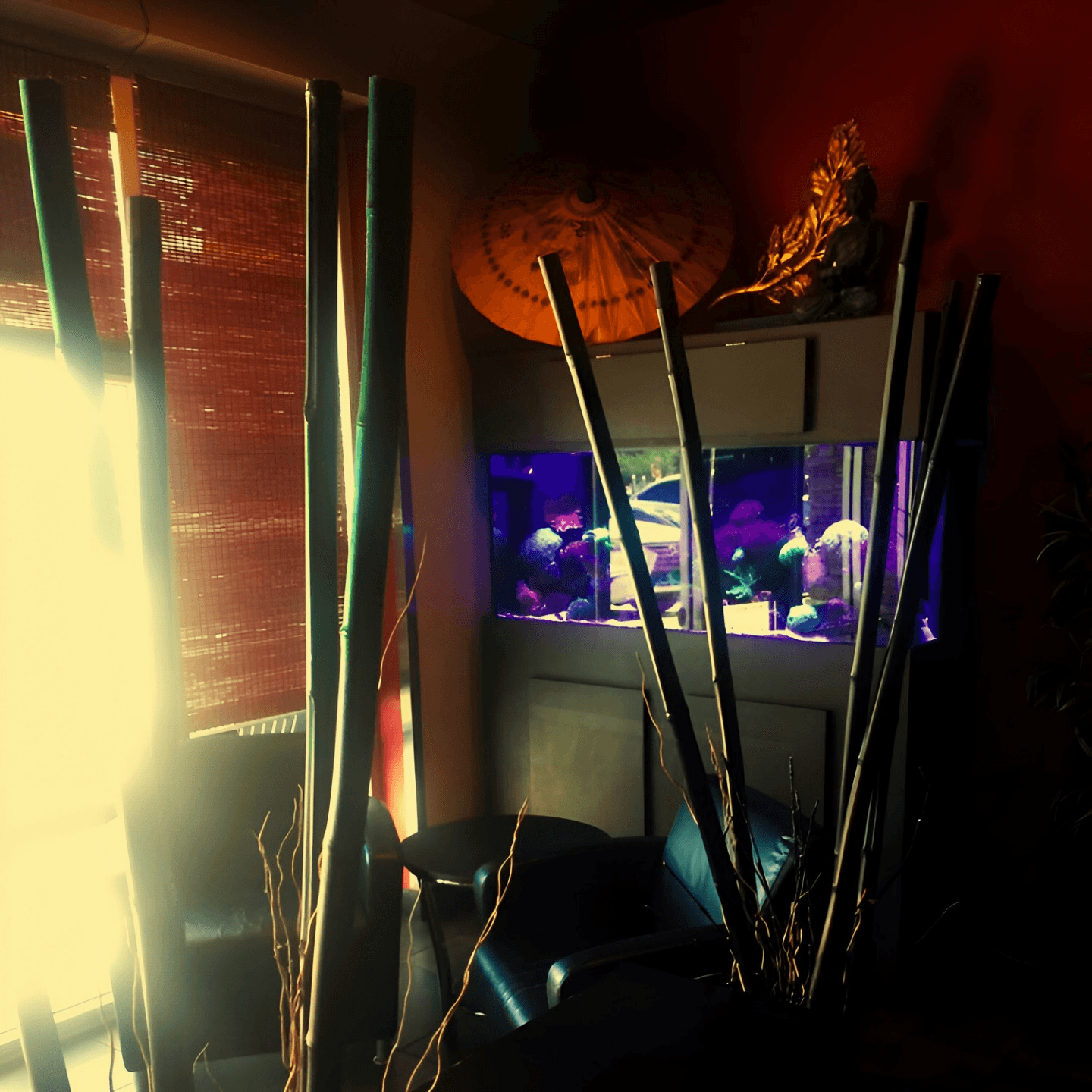 From Hahn's Dream to Your Plate