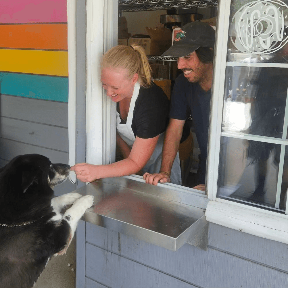 Donate Dog Donut to a Shelter Dog!.