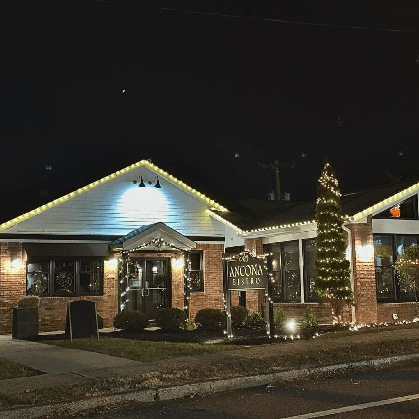 Welcome to Ancona Bistro