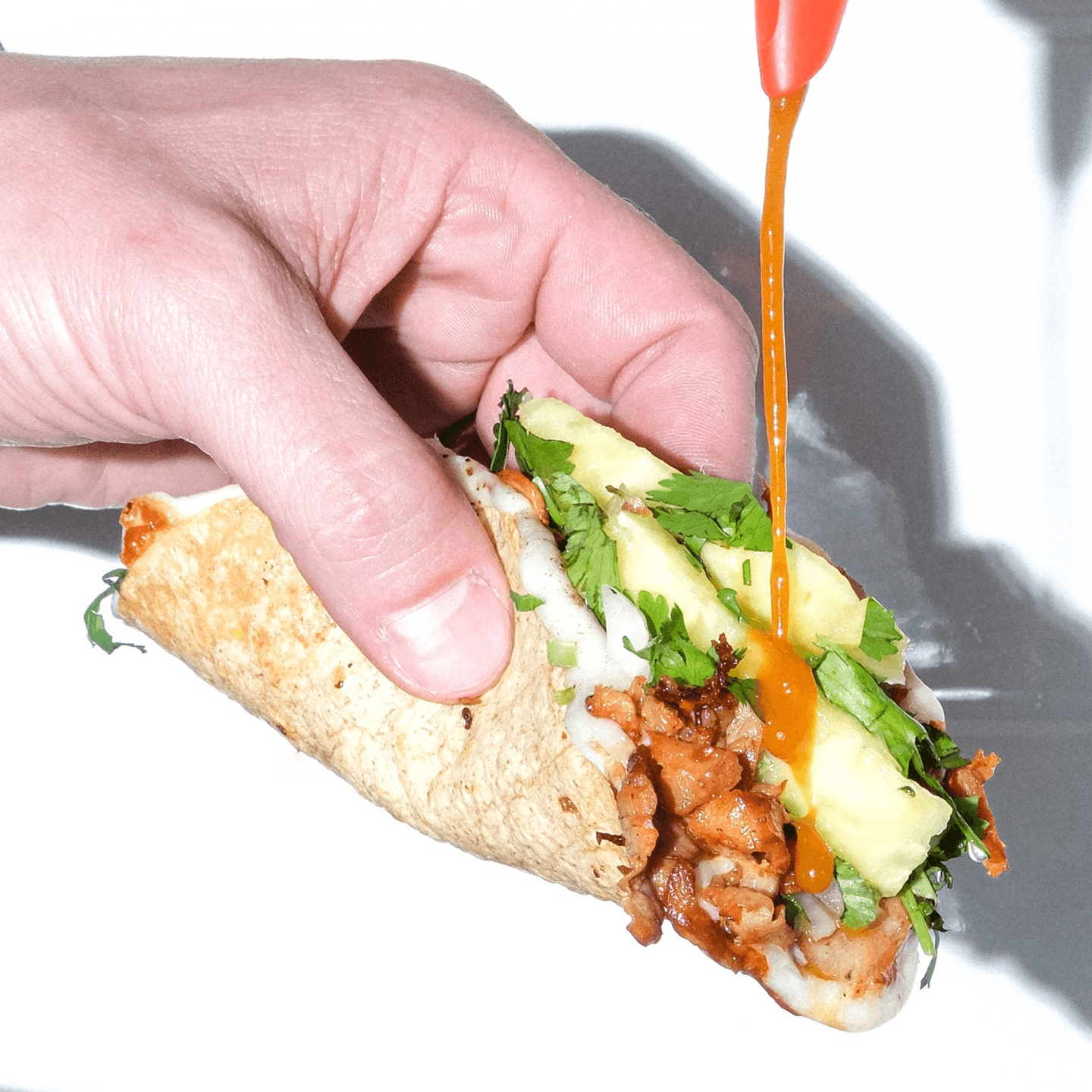 Welcome To Holy Taco