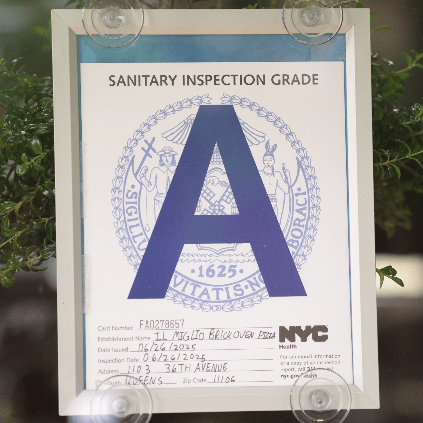 Sanitary Inspection Grade