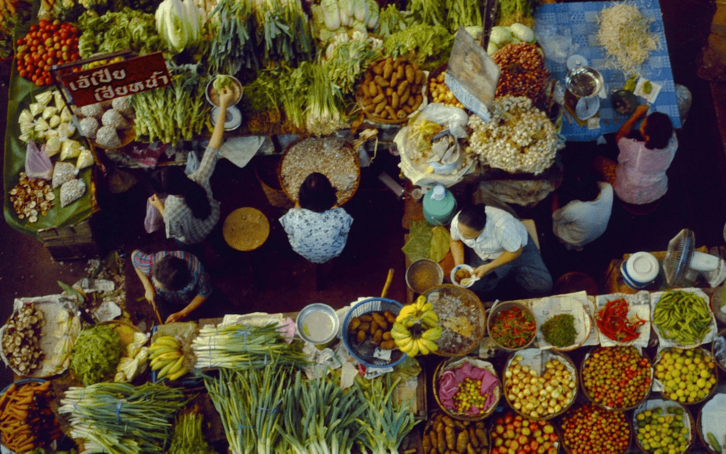 Our Promise to Fresh Ingredients and Fine Dining