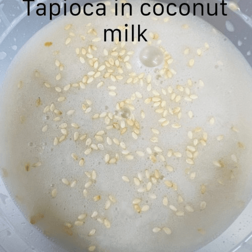 Tapioca in Coconut Milk.