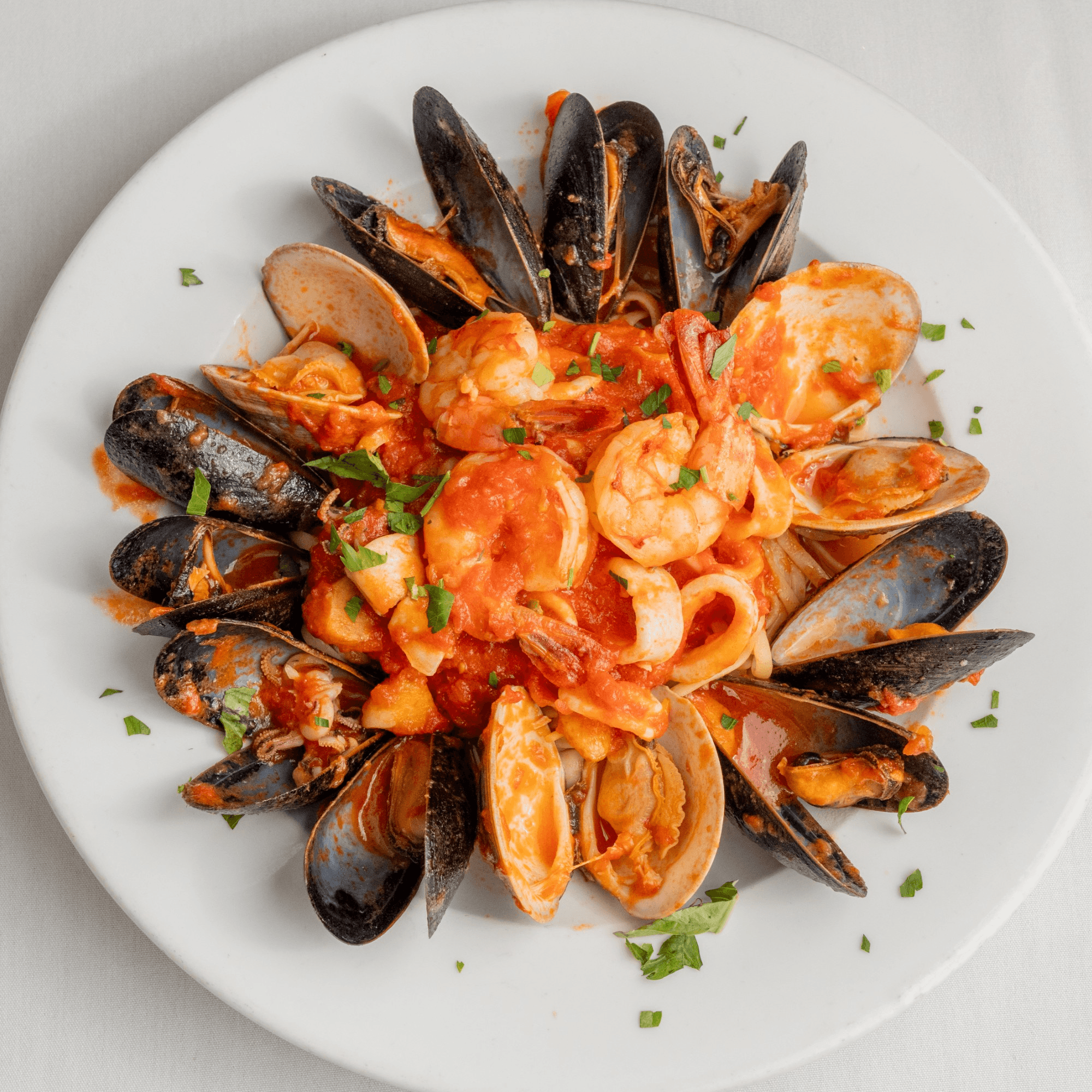 Ciro's gallery image #7