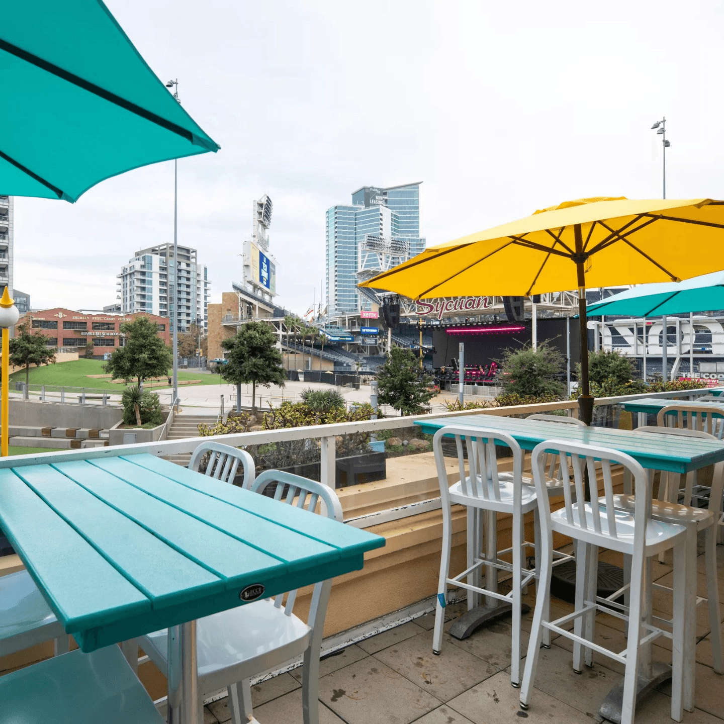 Rooftop Drinks and Views