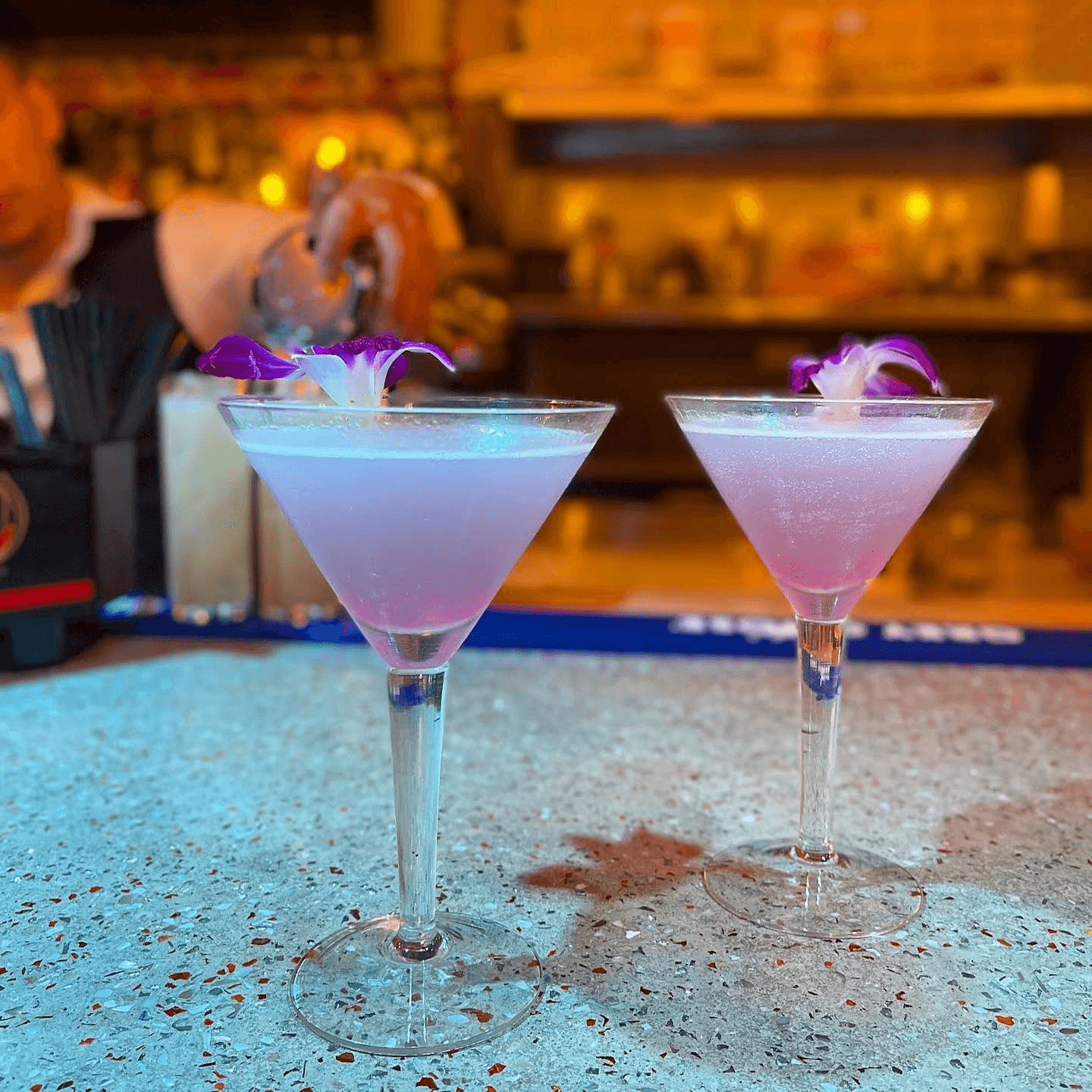 Sip & Savor!