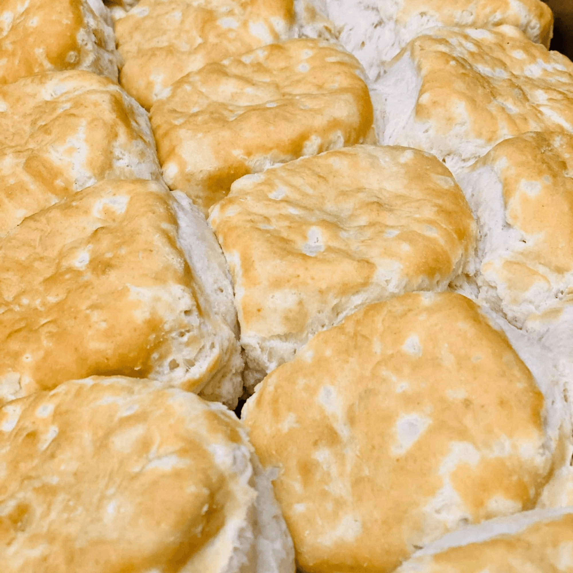 Dancing Tomato Caffe gallery image #6