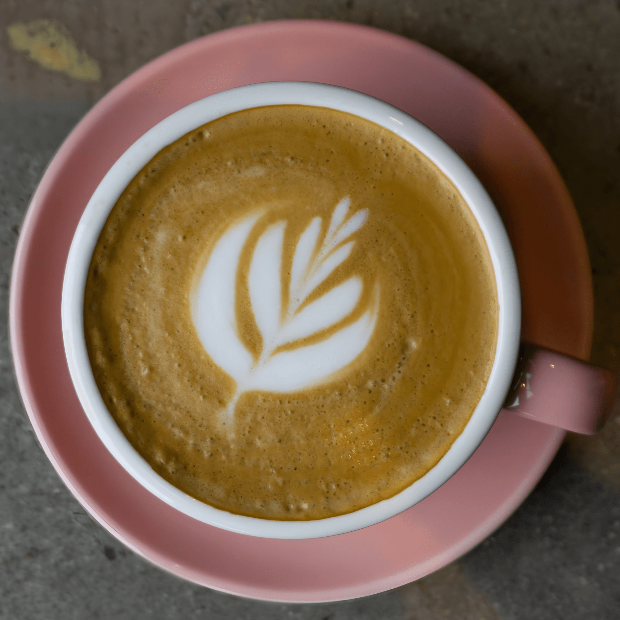 Bite Food & Coffee Co gallery image #5