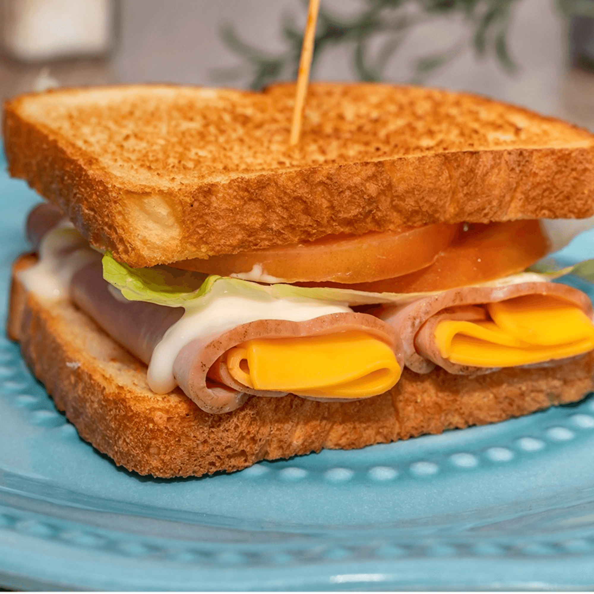 Eparepa gallery image #7