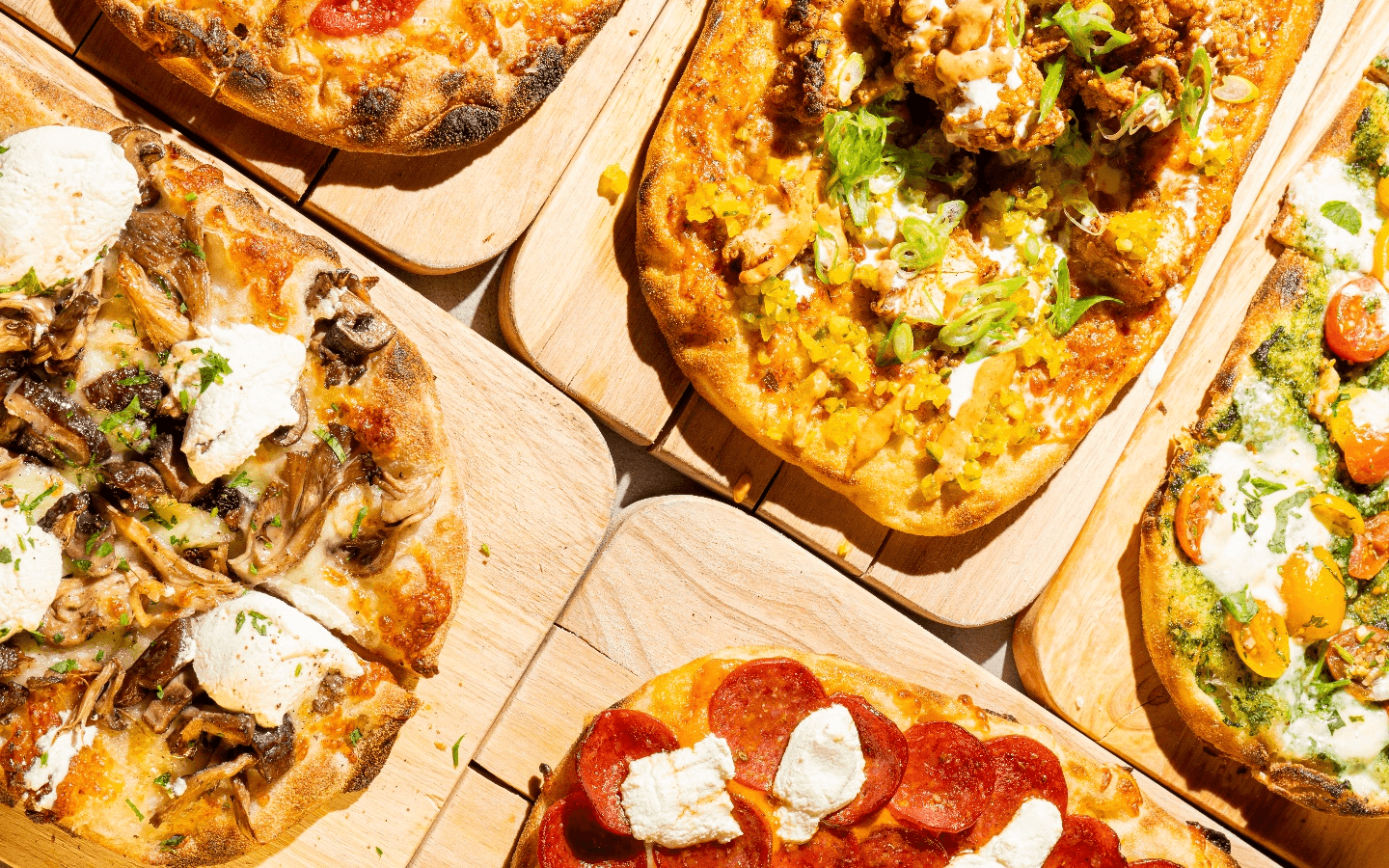 Bite Food & Coffee Co Rewards