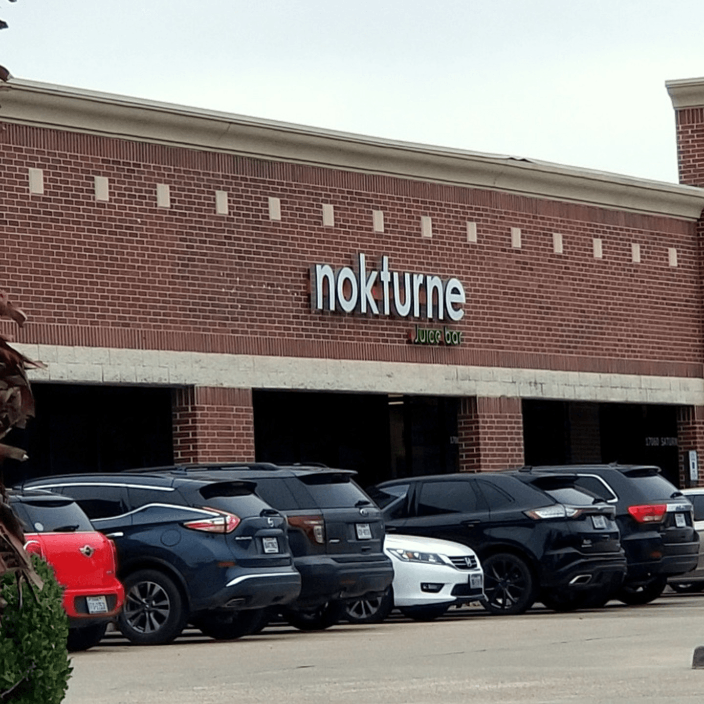 Welcome to NOKTURNE Juice Bar & World Kitchen