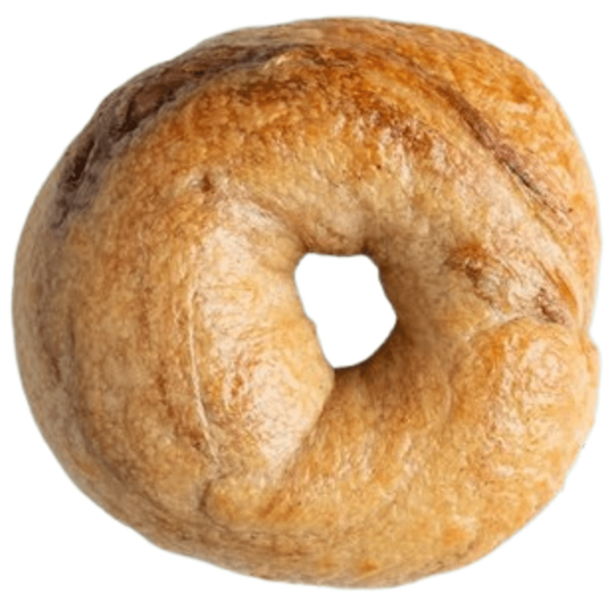 Ugly Bagel   gallery image #1