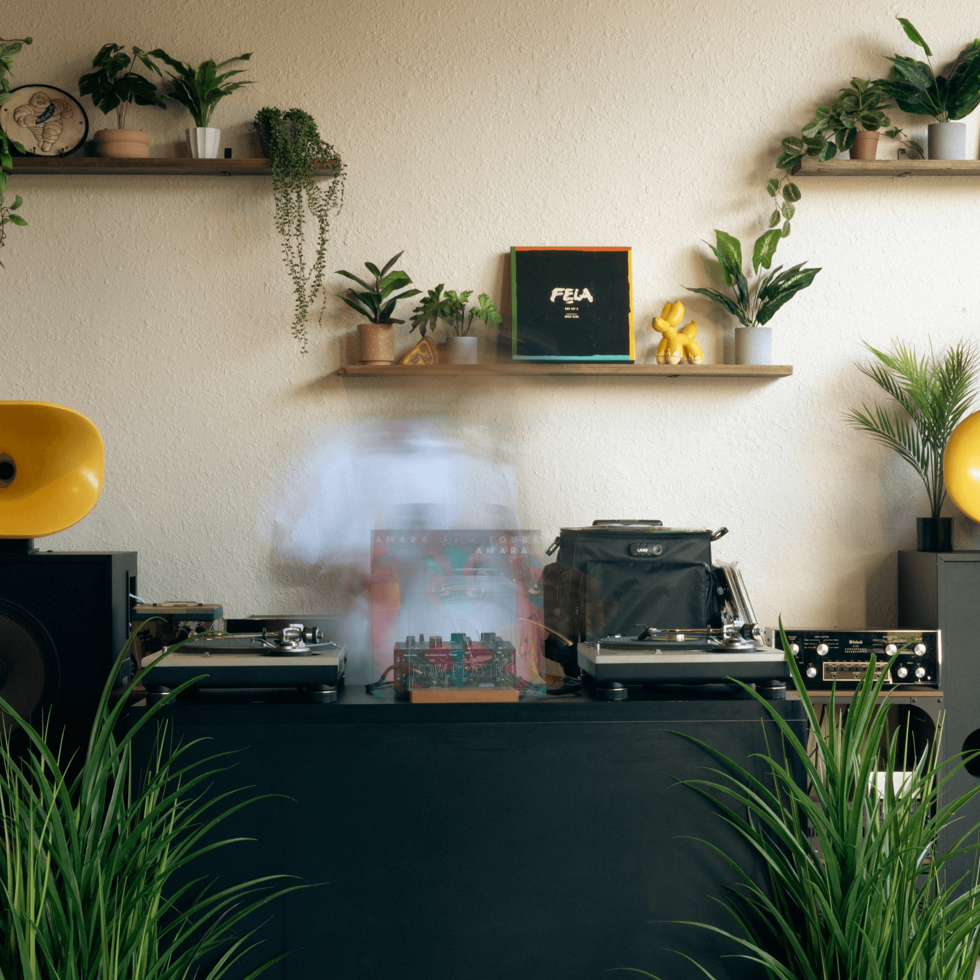 Perla's Pizza gallery image #2