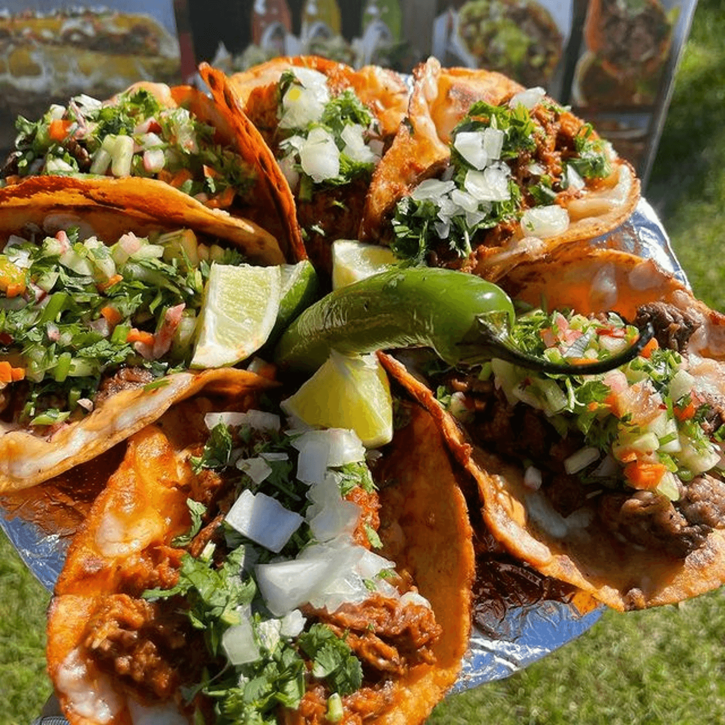 Savor the Boldness of Birria Tacos