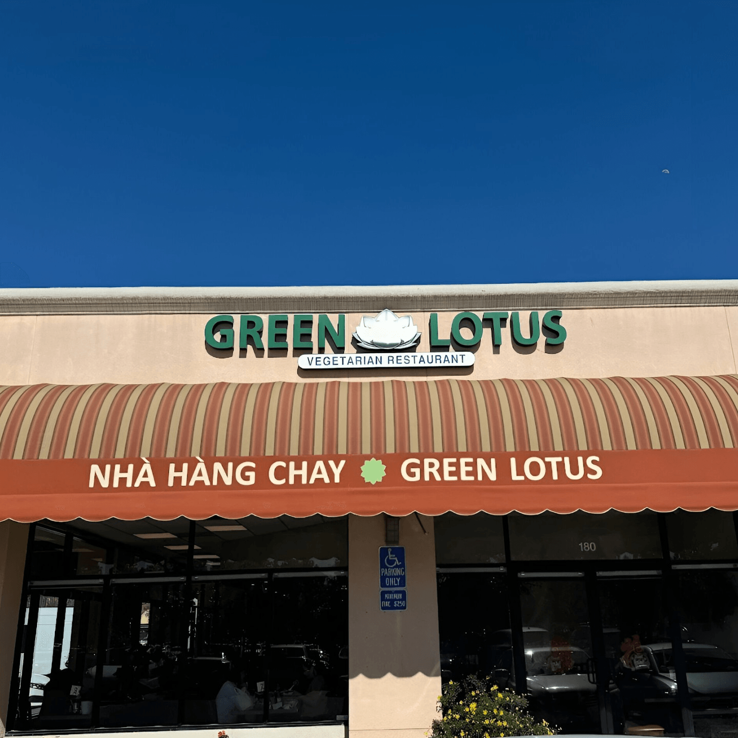 How Green Lotus Began
