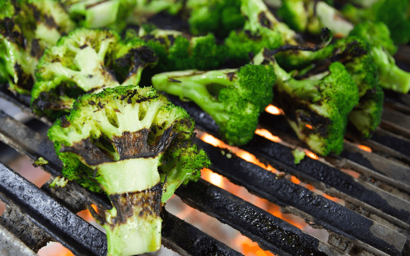 FlyBird Chargrilled Chicken Rewards